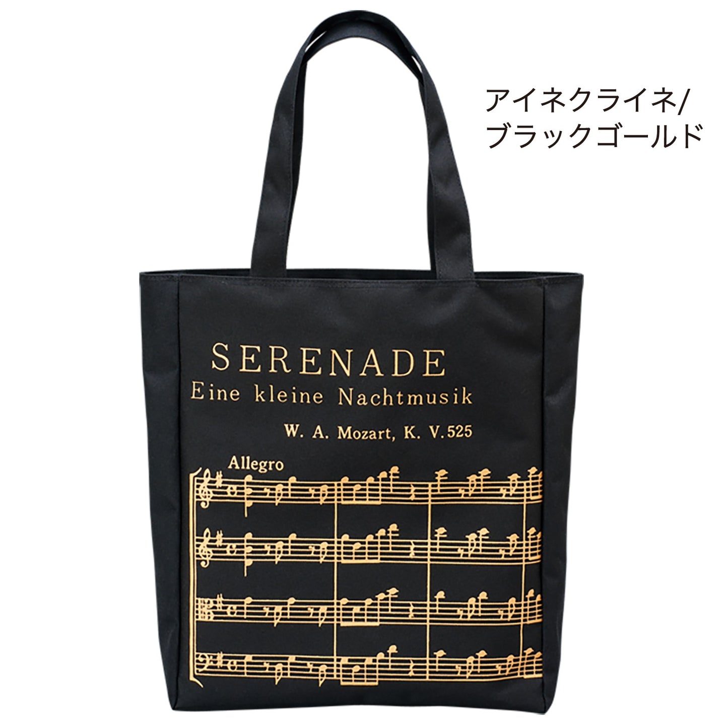 ミュージックレッスンバッグ ジップトップ